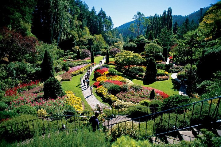 Victoria BC: Top Tourist Attractions for Unforgettable Adventures