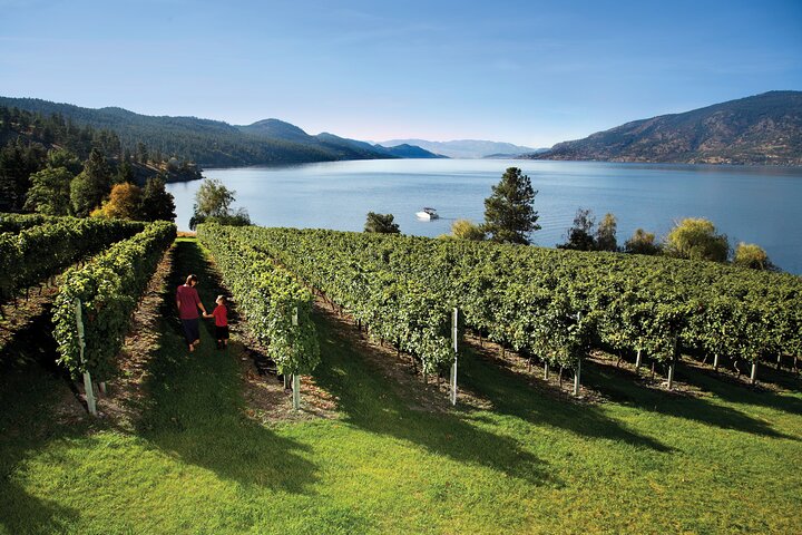 Kelowna Cider Tour: Sip Your Way Through Orchard Paradise