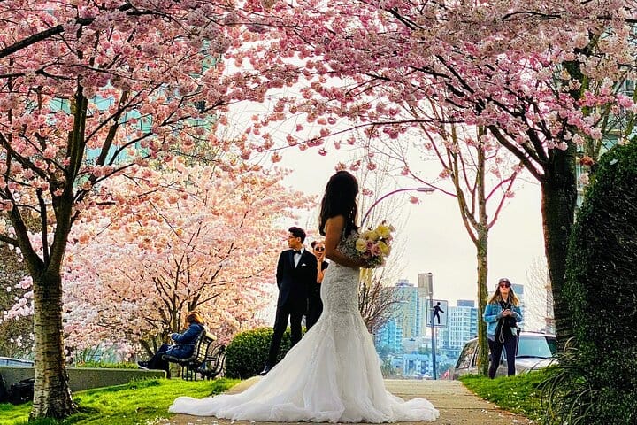 Vancouver Cherry Blossom Walk: A Pink Springtime Adventure