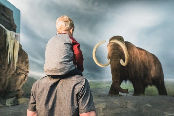 Victoria Royal Museum: Your Complete Admission Guide for 2024