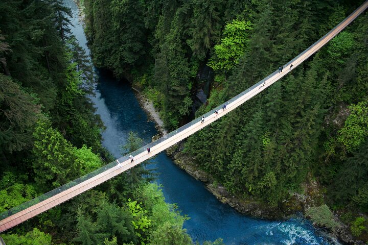 Capilano Canyon Treetop Adventure: Vancouver’s Ultimate Sky Walk