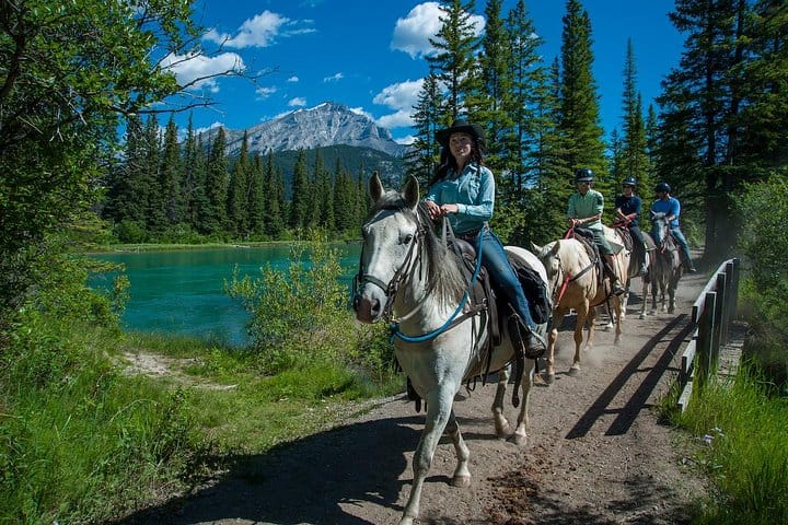 Alberta’s Cowboy Trail: Epic Horseback Riding Adventures